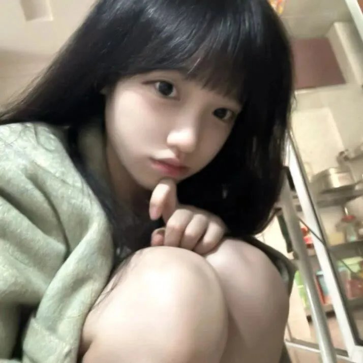 明月守护者 在线观看